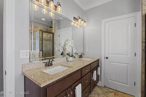 Bath - 3524 Williams Brooke Ln, Hernando, MS 38632 photo 2 of 7