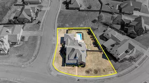 View/Area - 3524 Williams Brooke Ln, Hernando, MS 38632 photo 3 of 12
