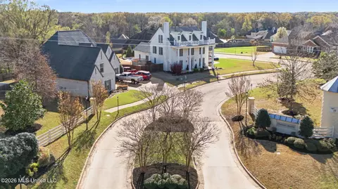 View/Area - 3524 Williams Brooke Ln, Hernando, MS 38632 photo 10 of 12