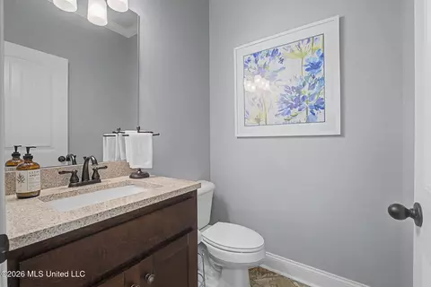 Bath - 3524 Williams Brooke Ln, Hernando, MS 38632 photo 6 of 7