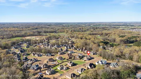 View/Area - 3524 Williams Brooke Ln, Hernando, MS 38632 photo 9 of 12