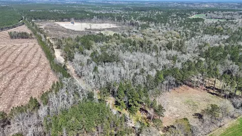 21 8 Acres Flournoy Rd, Lucedale, MS 39452 photo 5