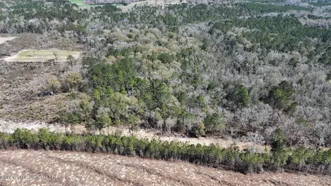 21 8 Acres Flournoy Rd, Lucedale, MS 39452 photo 7