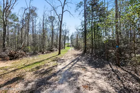 21 8 Acres Flournoy Rd, Lucedale, MS 39452 photo 20