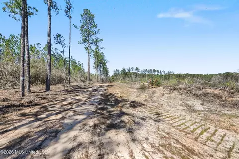 21 8 Acres Flournoy Rd, Lucedale, MS 39452 photo 12