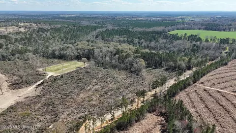 21 8 Acres Flournoy Rd, Lucedale, MS 39452 photo 10