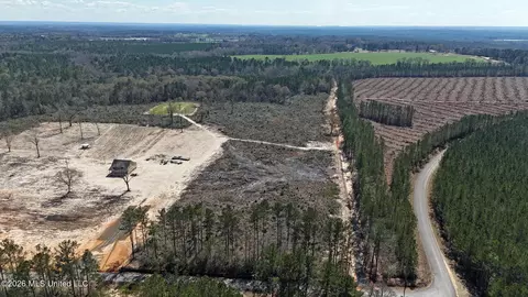 21 8 Acres Flournoy Rd, Lucedale, MS 39452 photo 2