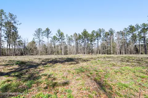 21 8 Acres Flournoy Rd, Lucedale, MS 39452 photo 18