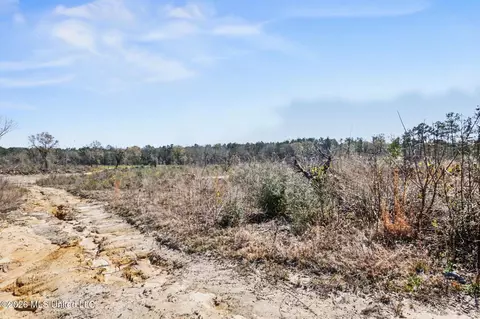 21 8 Acres Flournoy Rd, Lucedale, MS 39452 photo 14
