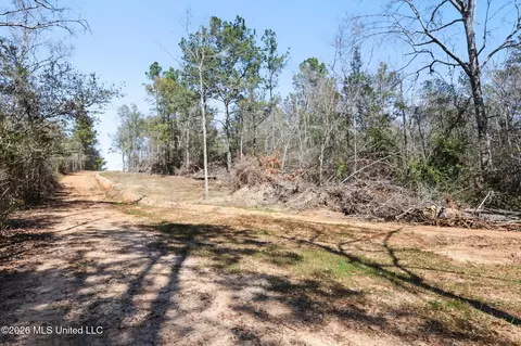 21 8 Acres Flournoy Rd, Lucedale, MS 39452 photo 17