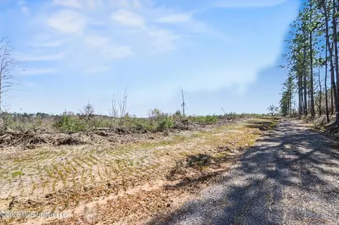 21 8 Acres Flournoy Rd, Lucedale, MS 39452 photo 11