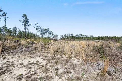 21 8 Acres Flournoy Rd, Lucedale, MS 39452 photo 13