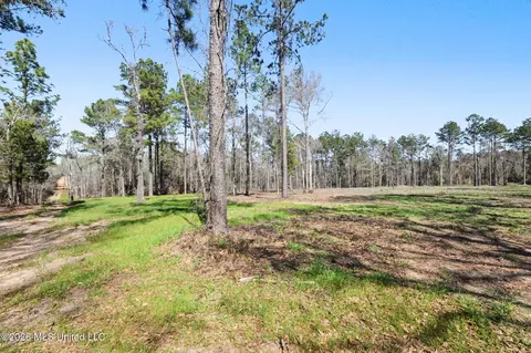 21 8 Acres Flournoy Rd, Lucedale, MS 39452 photo 19