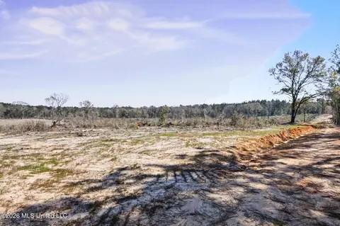 21 8 Acres Flournoy Rd, Lucedale, MS 39452 photo 15
