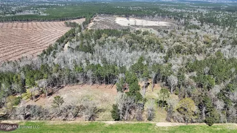 21 8 Acres Flournoy Rd, Lucedale, MS 39452