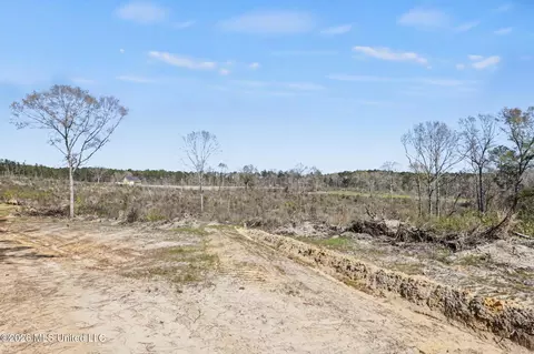 21 8 Acres Flournoy Rd, Lucedale, MS 39452 photo 16