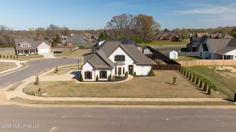 View/Area - 1428 Brayden Ln, Hernando, MS 38632 photo 2 of 4