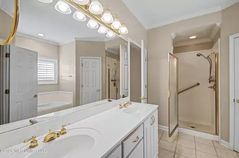 Bath - 234 Terrace Dr, Brandon, MS 39042 photo 5 of 5