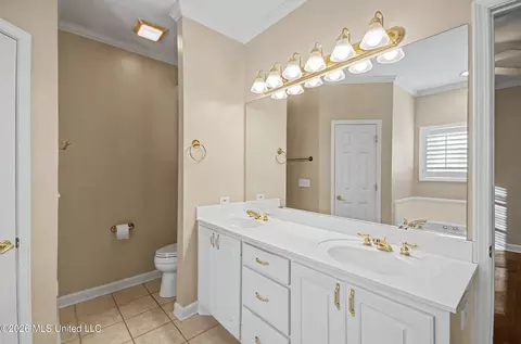 Bath - 234 Terrace Dr, Brandon, MS 39042 photo 3 of 5