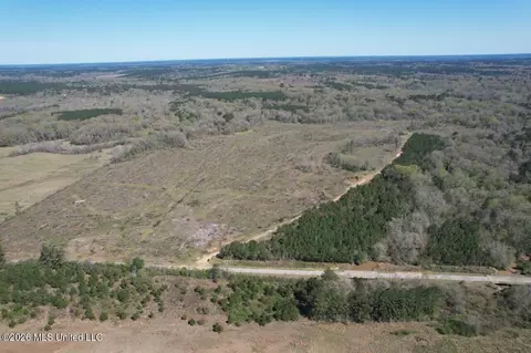 1009 Chance Rd, Centreville, MS 39631
