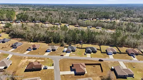 View/Area - 47 Summit View Dr, Perkinston, MS 39573 photo 3 of 6