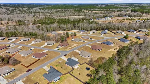View/Area - 47 Summit View Dr, Perkinston, MS 39573 photo 5 of 6