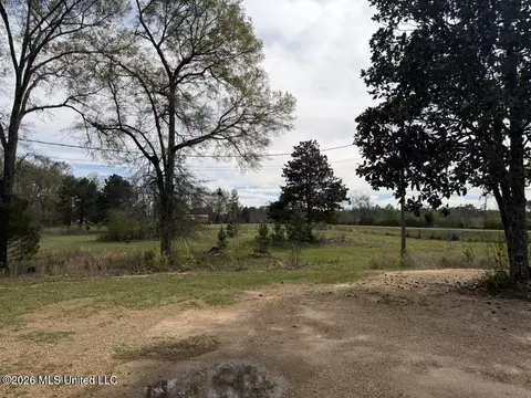 tbd Ole Springs Rd, Summit, MS 39666 photo 22