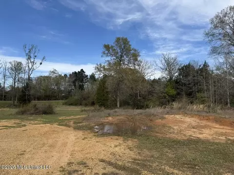 tbd Ole Springs Rd, Summit, MS 39666 photo 24