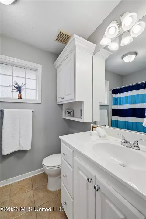 Bath - 403 Oak Bnd, Brandon, MS 39047 photo 3 of 3