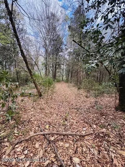 Johnston Sta Road, Summit, MS 39666 photo 6