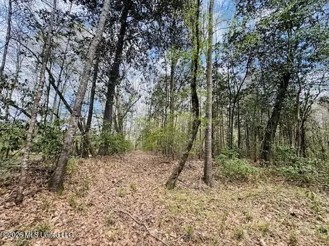 Johnston Sta Road, Summit, MS 39666 photo 5