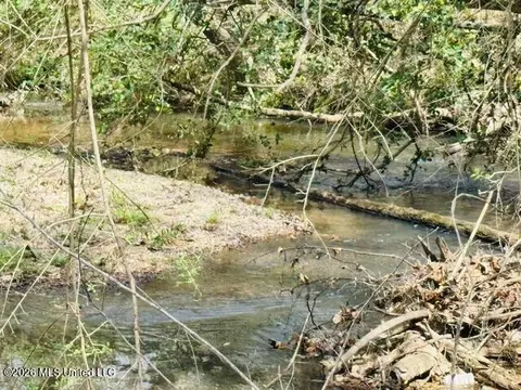 Johnston Sta Road, Summit, MS 39666 photo 4