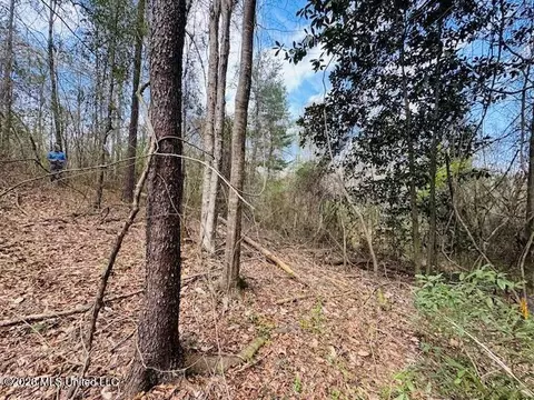 Johnston Sta Road, Summit, MS 39666 photo 2