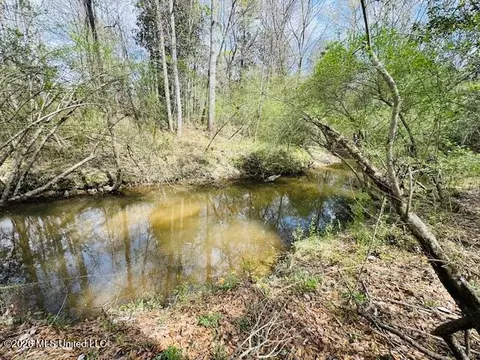 Johnston Sta Road, Summit, MS 39666 photo 3