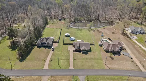 View/Area - 10067 Emerald Forest Dr, Hernando, MS 38632 photo 2 of 3