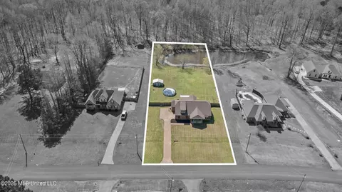 View/Area - 10067 Emerald Forest Dr, Hernando, MS 38632 photo 3 of 3
