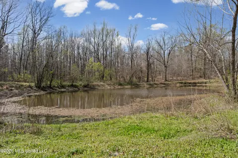 Other - 10067 Emerald Forest Dr, Hernando, MS 38632 photo 3 of 10