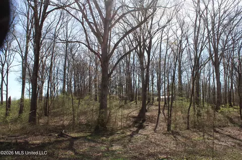 7 Barton Desoto Rd, Olive Branch, MS 38654 photo 6