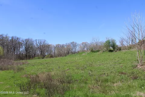 11 Barton Desoto Rd, Olive Branch, MS 38654