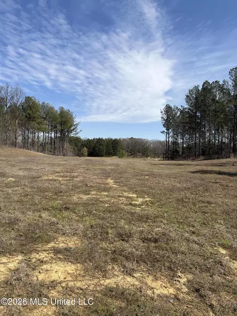 35 Deerwood Dr, Lake Cormorant, MS 38641
