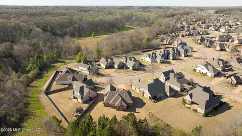 View/Area - 4342 E Robinson Loop, Olive Branch, MS 38654 photo 3 of 4