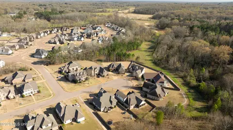 View/Area - 4342 E Robinson Loop, Olive Branch, MS 38654 photo 3 of 3