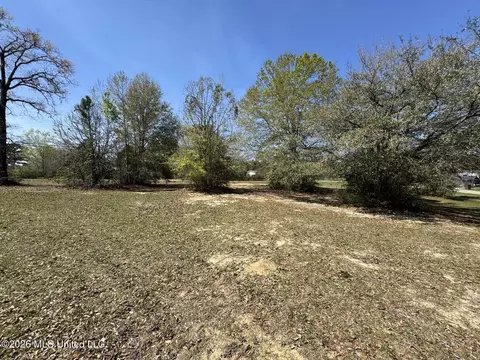 15068 Coggins Cv, Saucier, MS 39574 photo 19