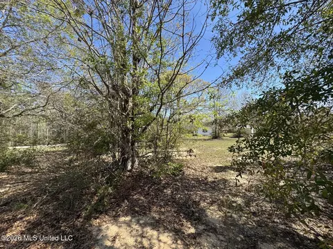 15068 Coggins Cv, Saucier, MS 39574 photo 18