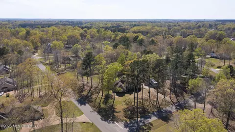 View/Area - 116 Windsor Blvd, Brandon, MS 39042 photo 2 of 3