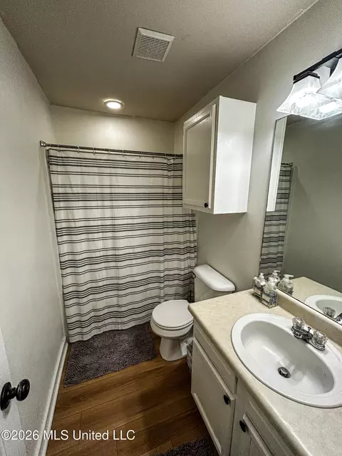 Bath - 739 Whippoorwill Dr, Brandon, MS 39047 photo 1 of 2