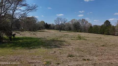 Potluck Road, Canton, MS 39046 photo 7