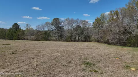 Potluck Road, Canton, MS 39046 photo 6