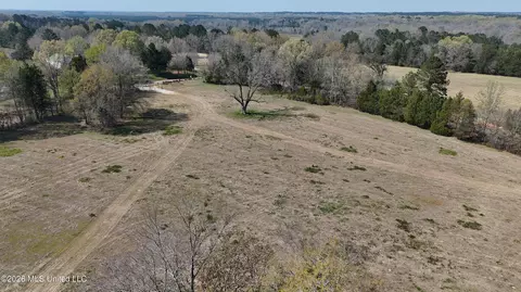 Potluck Road, Canton, MS 39046 photo 4