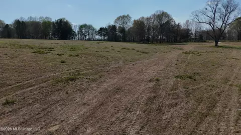 Potluck Road, Canton, MS 39046 photo 9